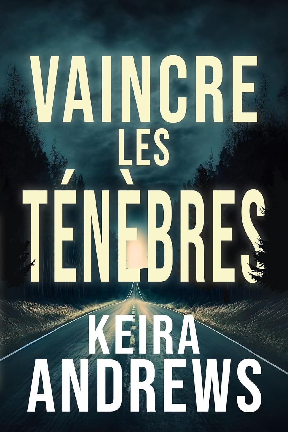Vaincre les ténèbres — chronique d’une romance M/M de survie
