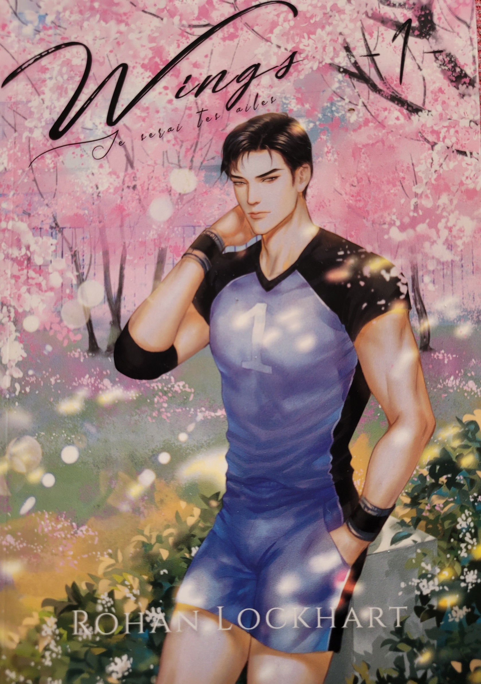 Couverture Wings – Je serai tes ailes – Rohan Lockhart