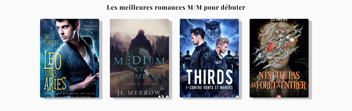 Les meilleures romances M/M pour débuter