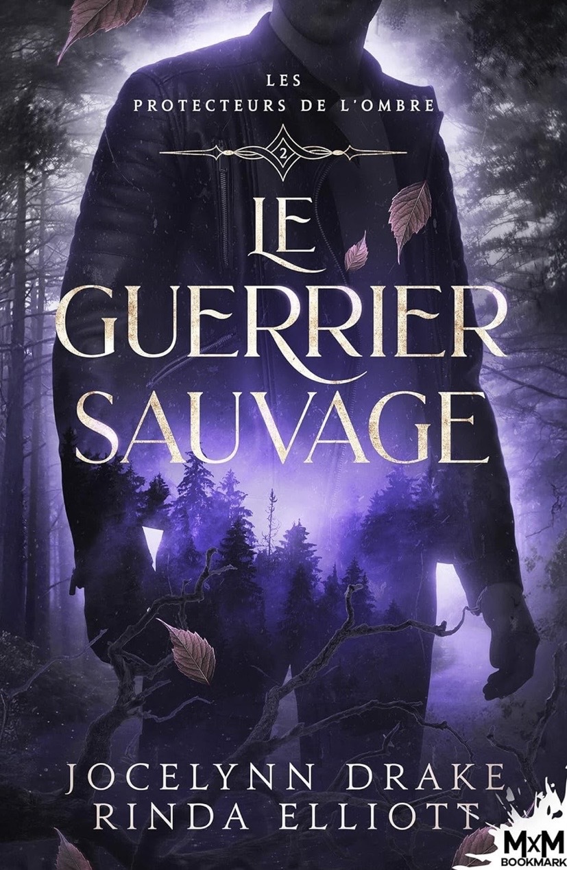 Couverture Les Protecteurs de l'ombre T2