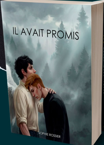 Couverture Il avait promis (réedition)