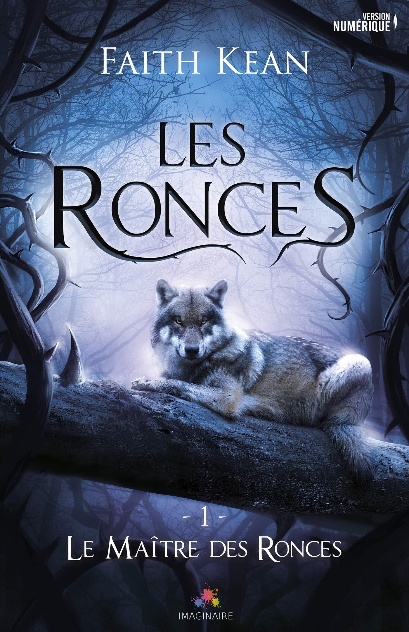 Couverture Le Maître des ronces, Faith Kean