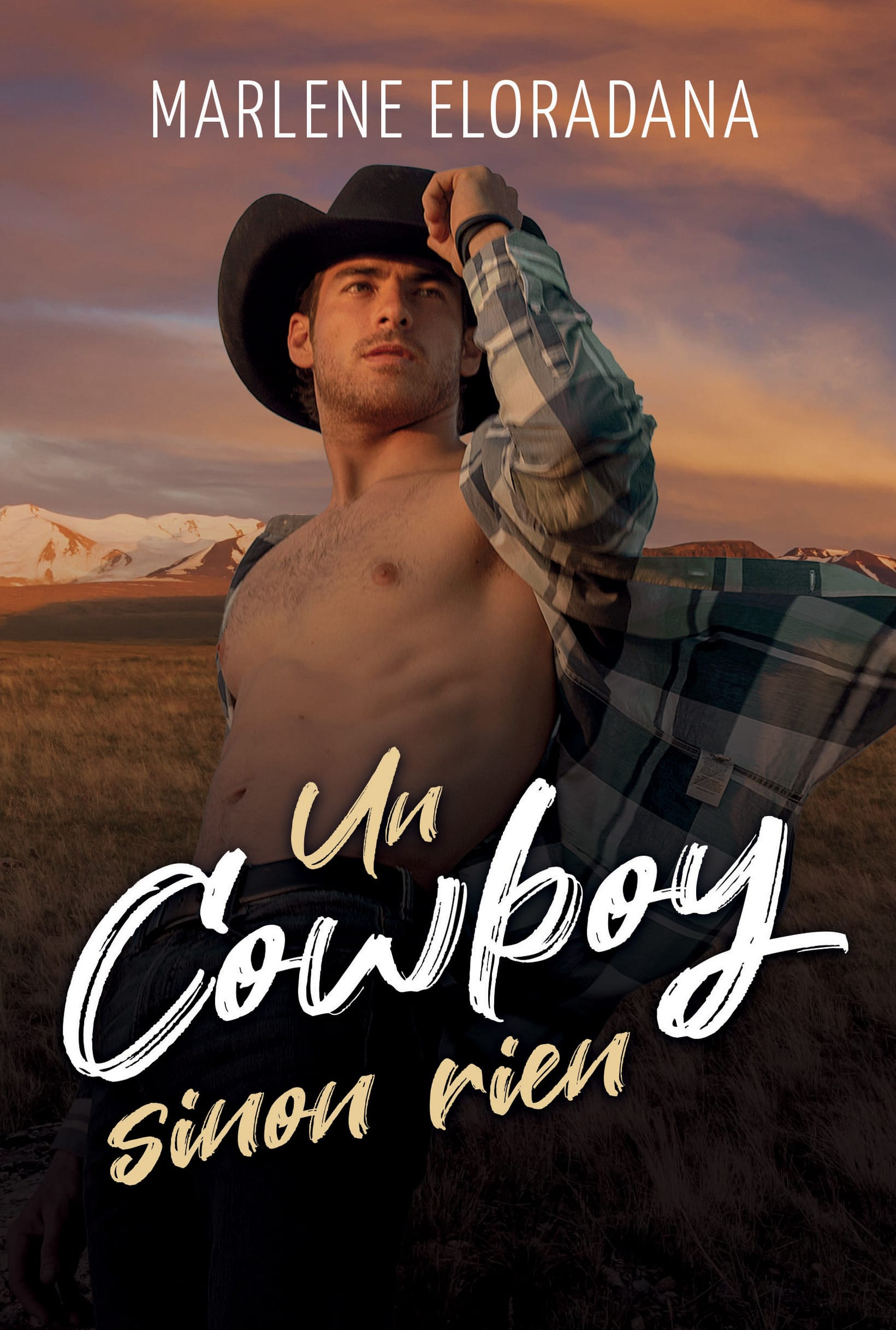 Un Cowboy sinon rien