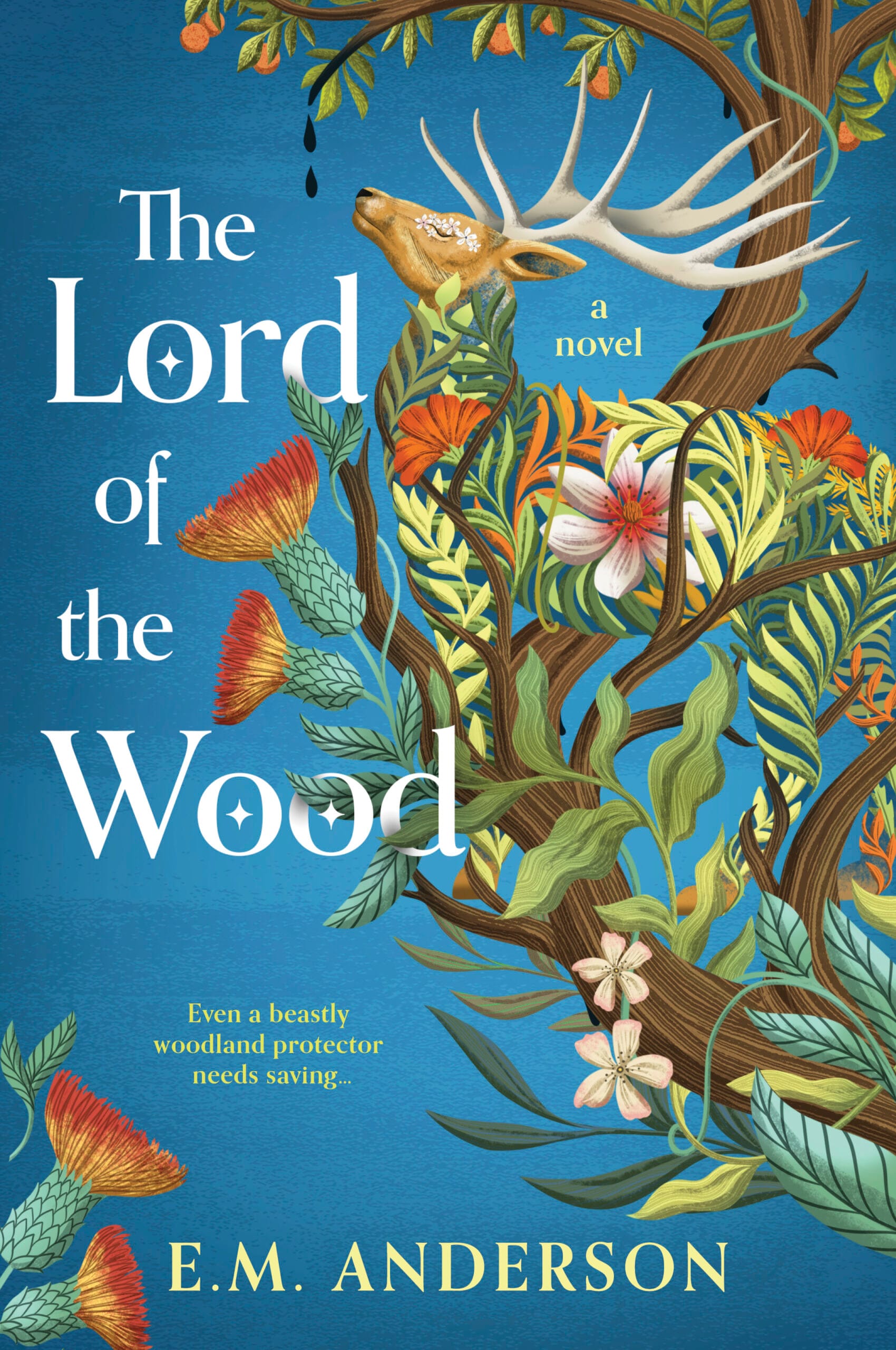 Couverture The Lord of the Wood