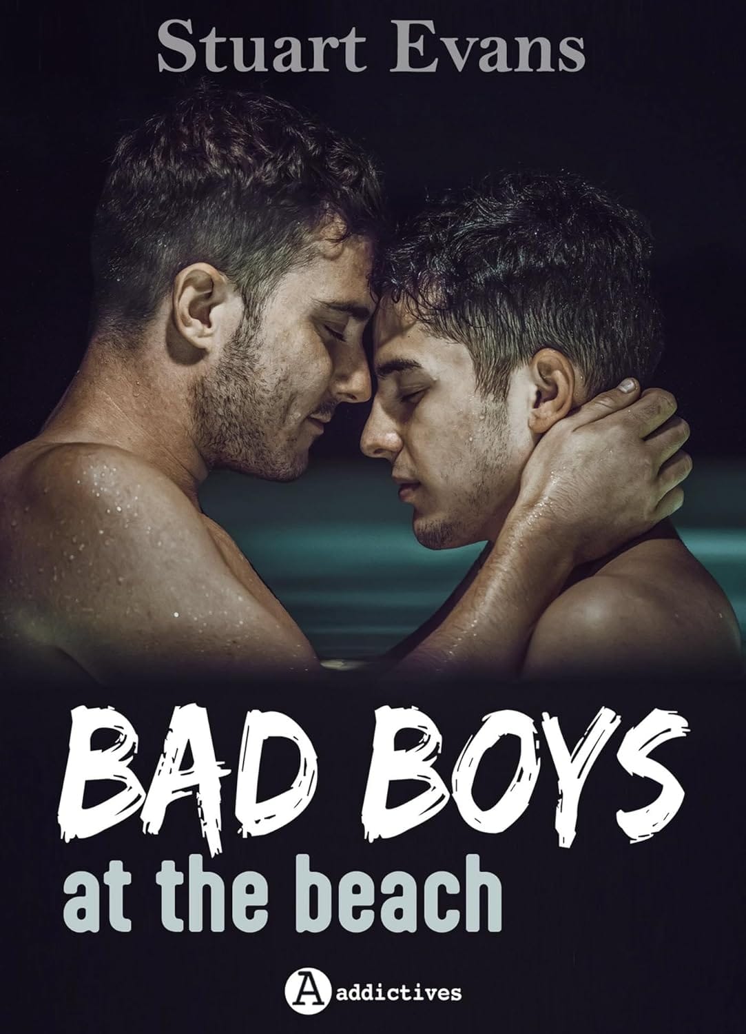 Couverture Bad Boys at the Beach de Stuart Evans