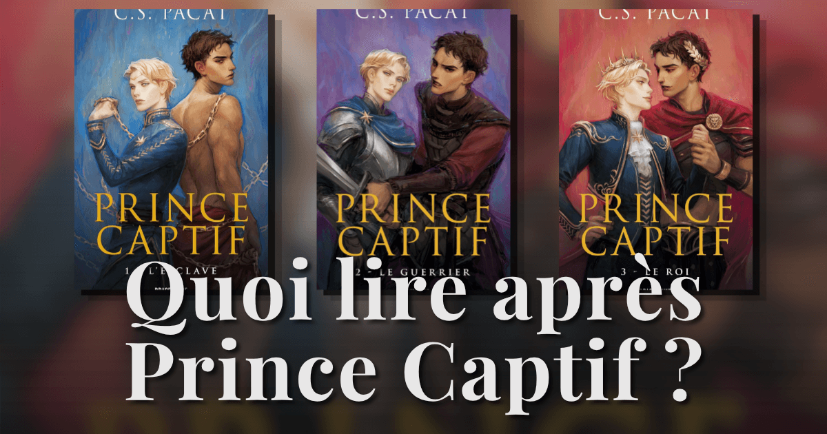 Tu as aimé Prince Captif ? Voilà quoi lire ensuite