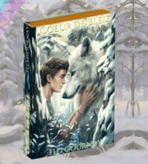 Couverture Coeur de Bleiz Amael — Flo Gournay