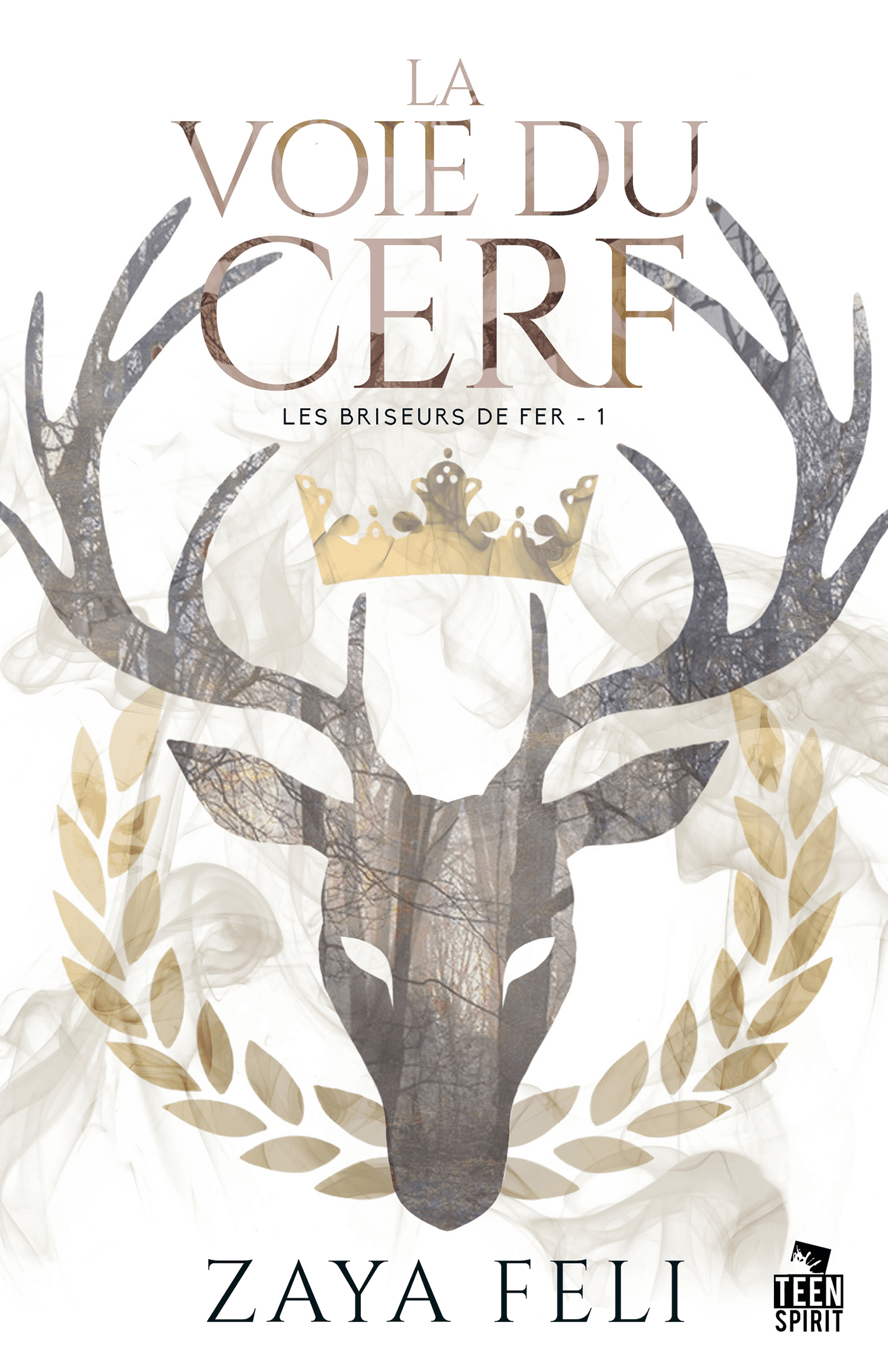 Couverture Les Briseurs de fer – Zaya Feli