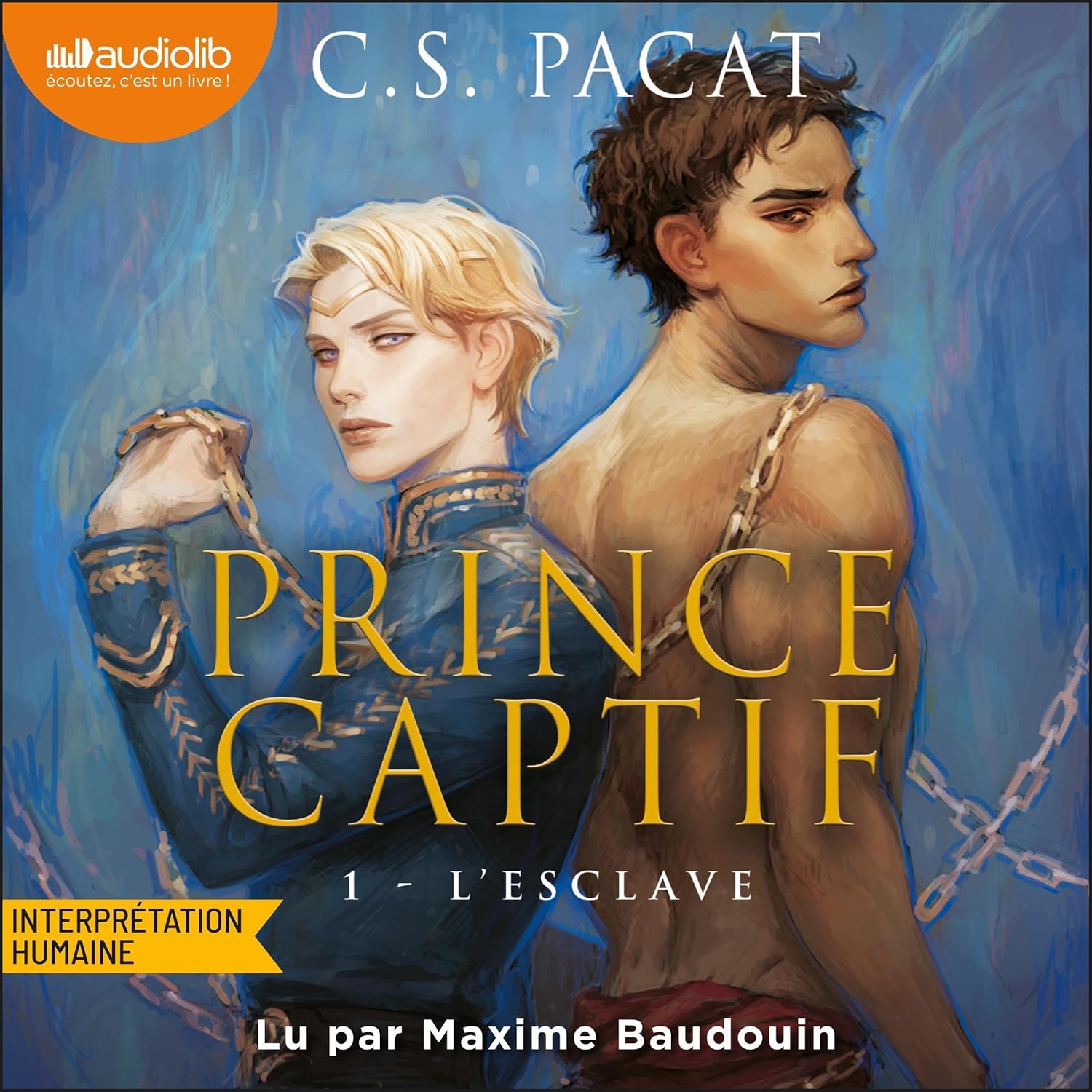 Couverture du livre audio Prince captif