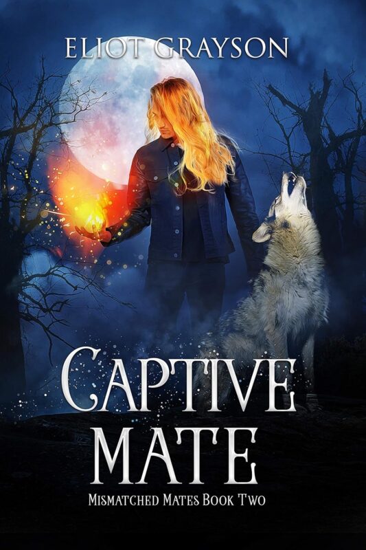 Captive Mate by Eliot Grayson, omegaverse MM book cover