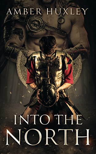 Into the North by Amber Huxley, dark romance MM book cover
