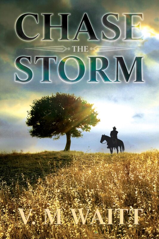 Chase the Storm by V.M. Waitt, MM age gap farm romance book cover