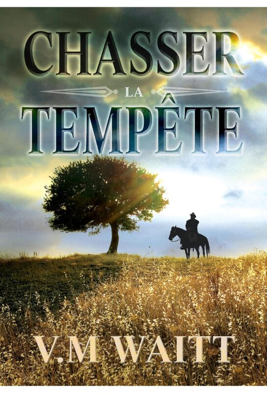Couverture Chasser la tempête de V. M. Waitt