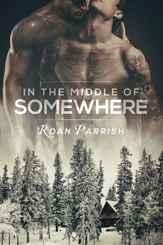 In the Middle of Somewhere by Roan Parrish, MM small town romance book cover