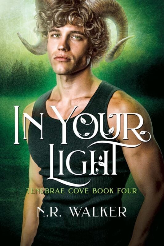 In Your Light by N.R. Walker, MM romance book cover