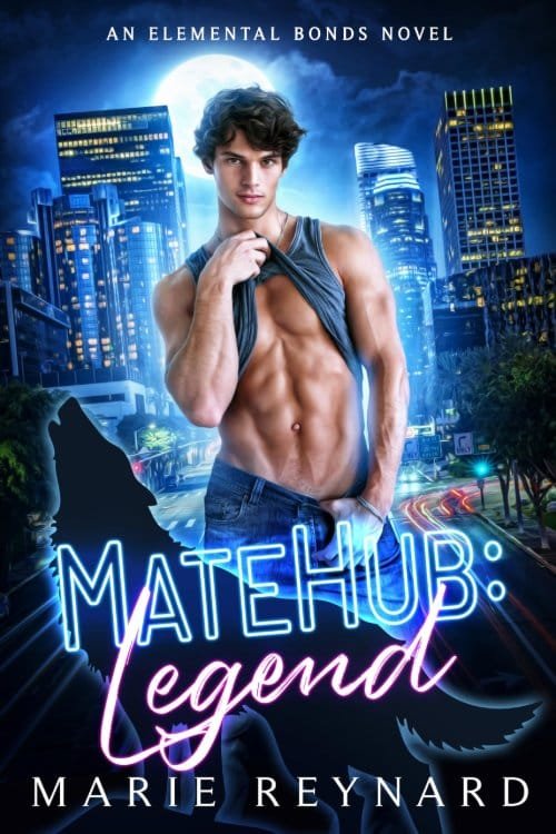 MateHub: Legend cover
