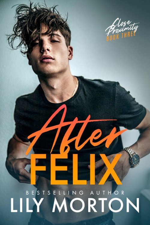 After Felix by Lily Morton, MM office romance book cover