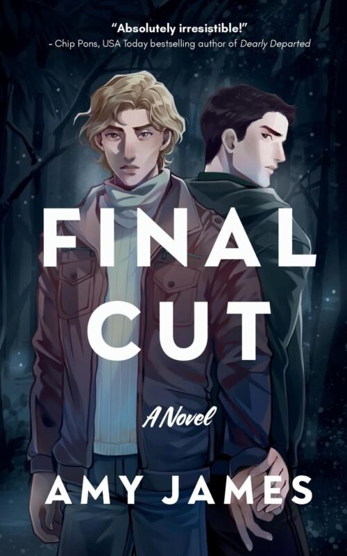 MM romance book covers coming out in November 2026